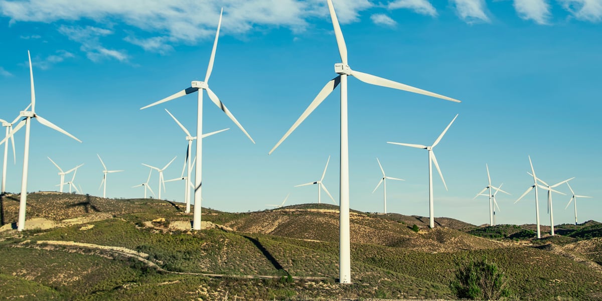 Bluegrass Ridge Wind Project A decision is made for the Lava Ridge Wind Project