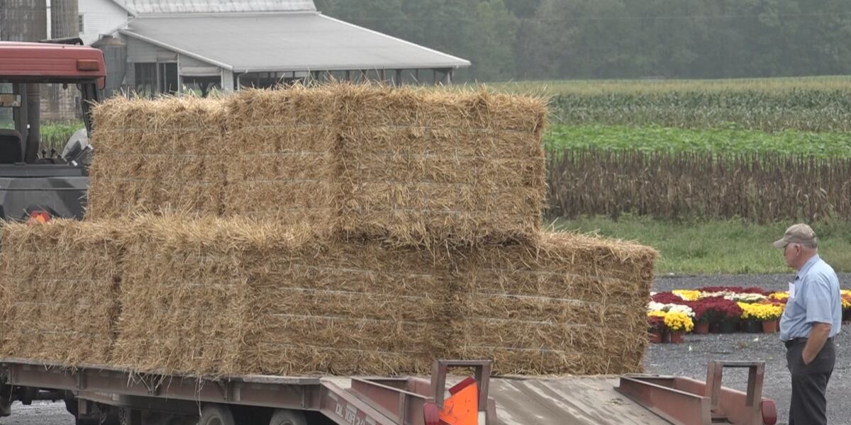Salute to Idaho Agriculture : Burley Straw Maze Salute to Idaho Agriculture : Burley Straw Maze