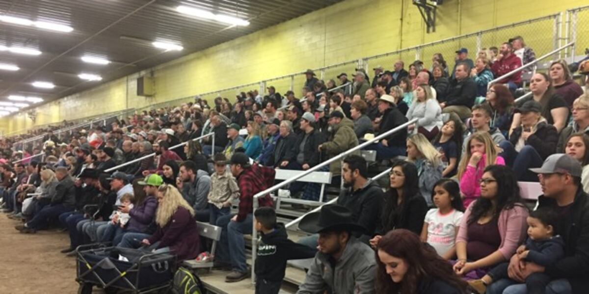 Csi Rodeo Arena Former local athletes embrace hospitality of CSI rodeo