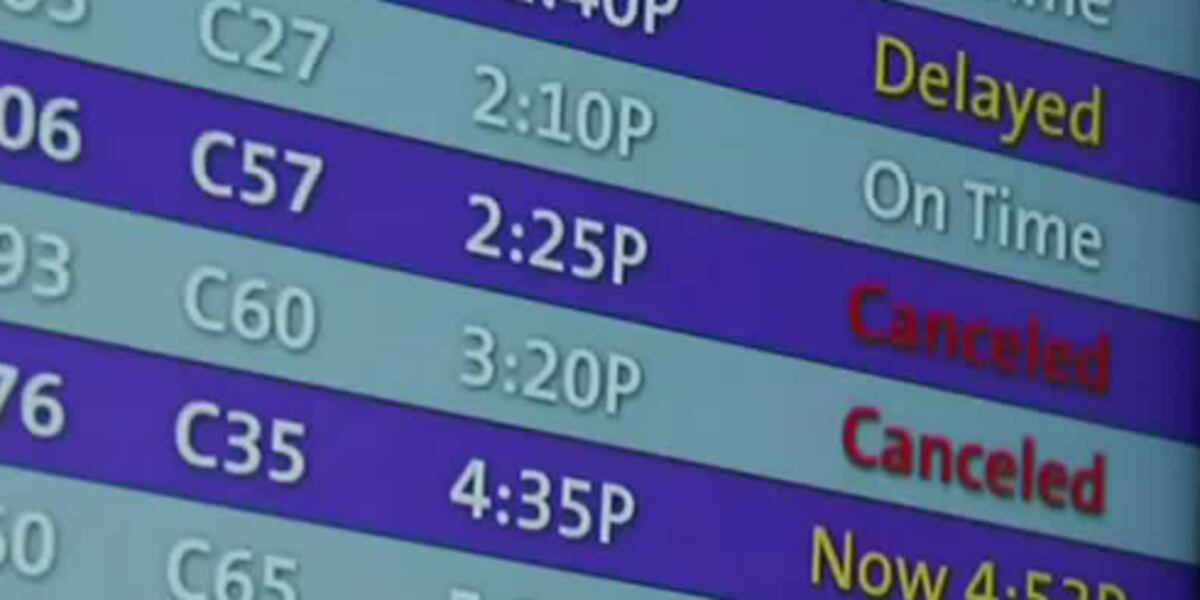 New government website helps protect travelers from airline delays and