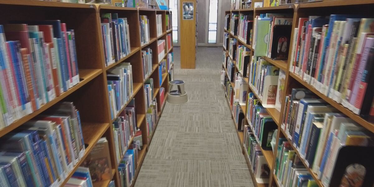 Library Against Rule Democrats come together to protest against new library bill