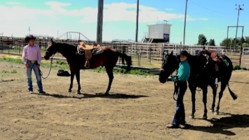Kylee Evans of Gooding and Wes Shaw from Dietrich pose with their horses just days prior to...