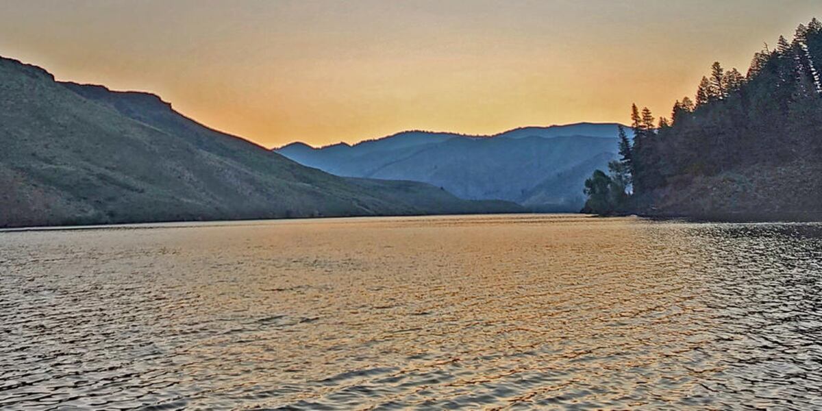 Reservoir Fish Ranch Anderson Ranch Reservoir kokanee fishery showing signs of improvement ...