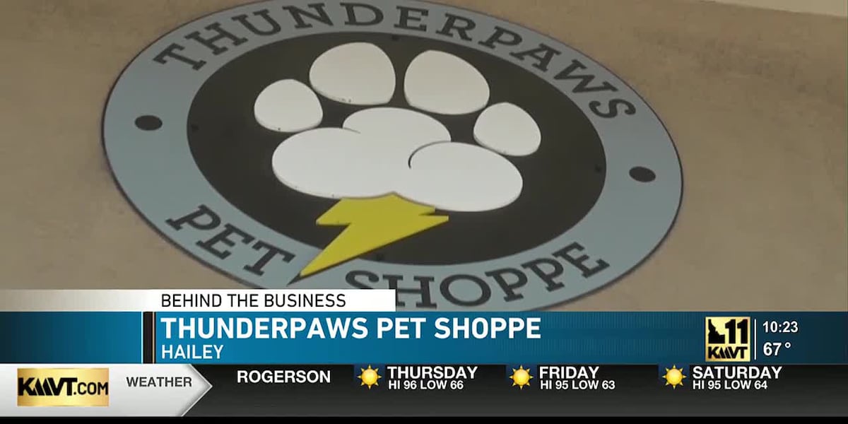Thunderpaws Pet Shoppe will give your pets that superhero feeling