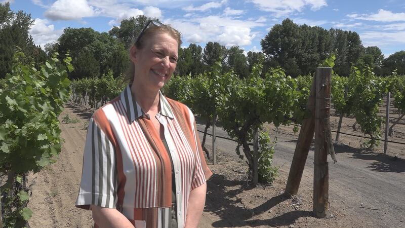 Y knot Winery prepares for busy summer months (Jake Manuel Brasil KMVT/KSVT)