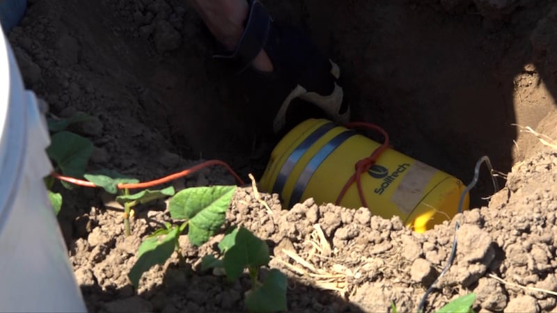 Three conservation districts deploy real-time moisture monitoring technology across irrigated...