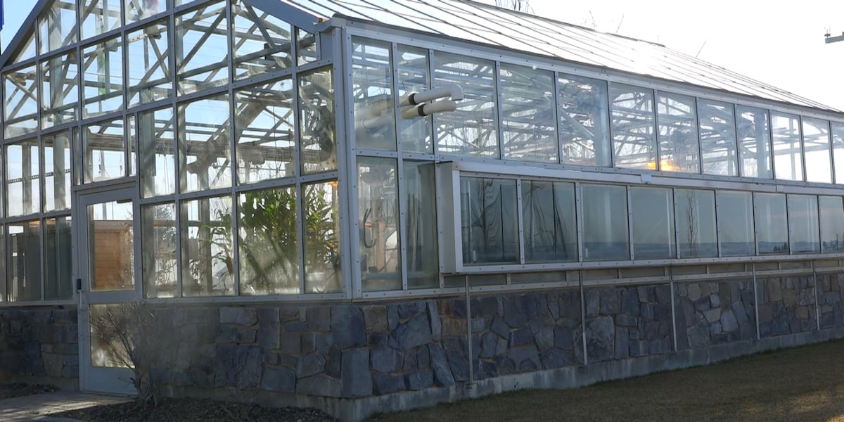 Burley company conducts year