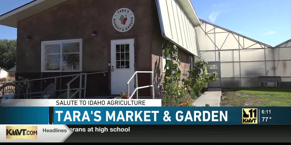 A local food market grows a little bit of something for everyone
