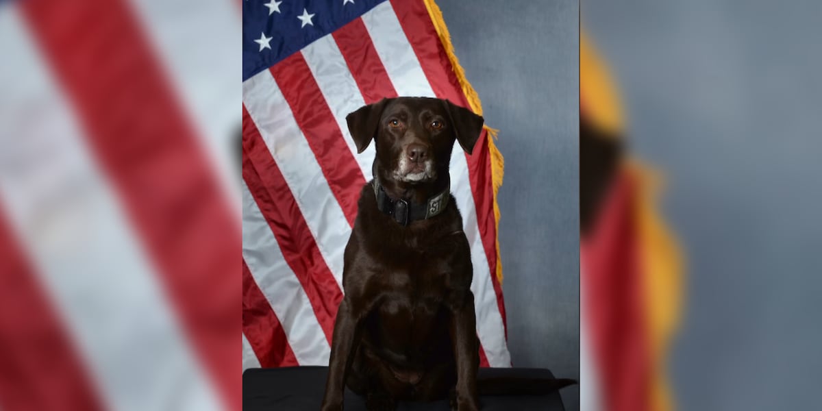 Twin Falls K-9 retires after eight years with Idaho State Police