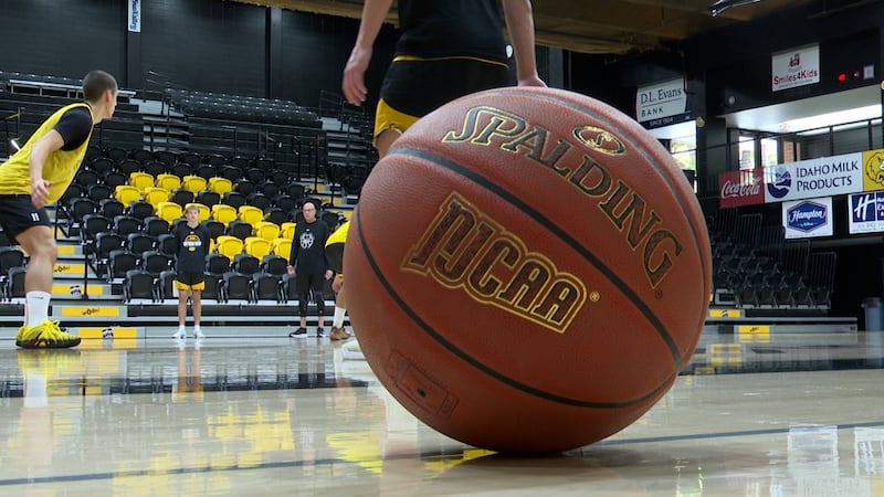 CSI Golden Eagles return size and experience ahead of 2026 season