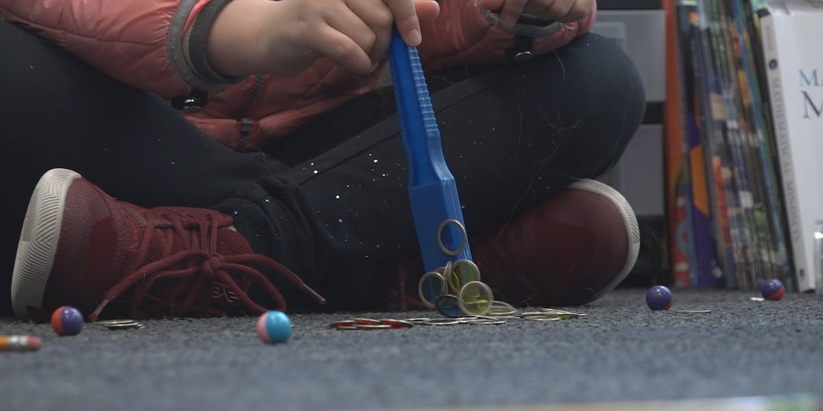 Student Using Magnet Leaders in Learning — Magnets connect students with science