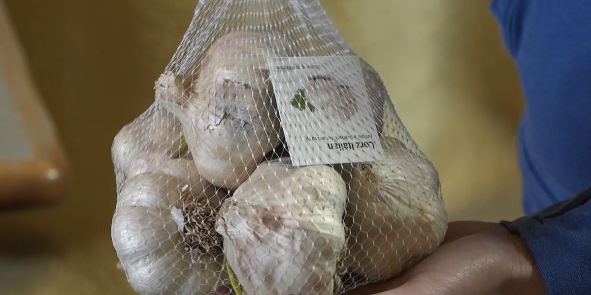 Idaho's Hidden Gem: Discovering the State's Thriving Garlic Industry