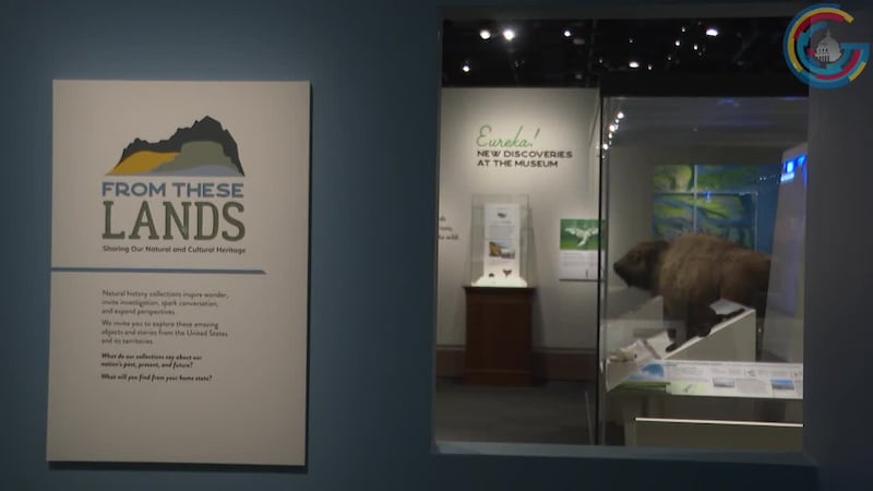 Smithsonian's National Museum of Natural History to unveil new America 250 exhibit this week