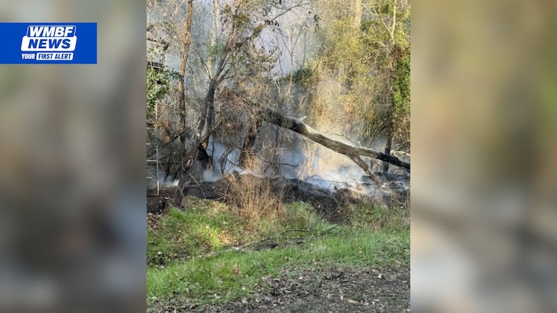 Florence County Fire Rescue says crews were called to a large fire in the woods
